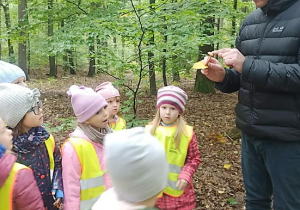 Dzieci zwiedzają las